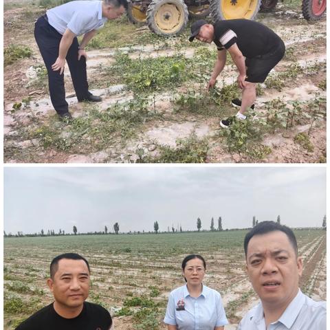 昌吉分行延安南路支行迅速落实新疆分行棉花补贴资金服务工作 高效推进“零售+普惠”竞赛 成功挖转他行存款300万元