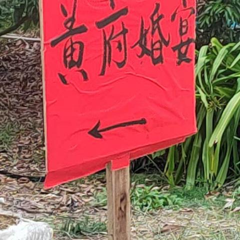 黄府婚宴喜庆纪实