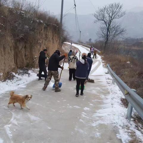 冬日里的温暖行动 全民扫雪进行时