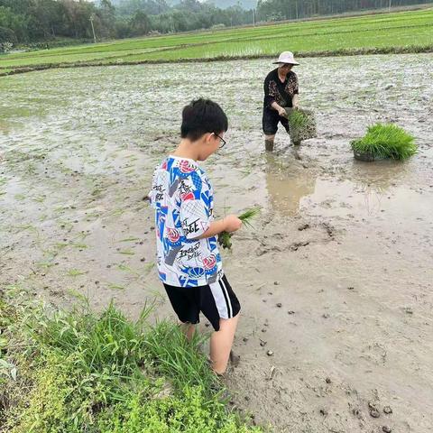 学农促成长 ——— 博白县龙潭镇白树村小学