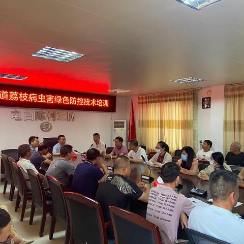 陈村街道举办荔枝病虫害绿色防控技术培训