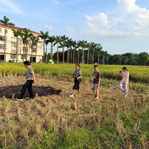 仁和学童悟道夏令营开营第一天