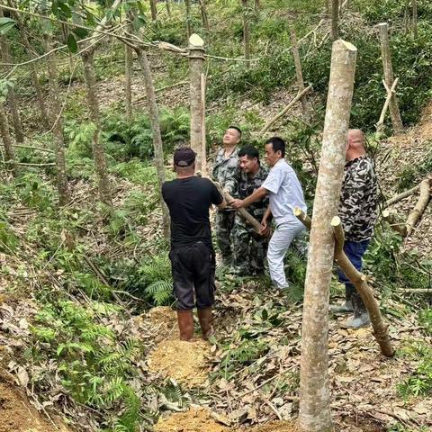 海胶集团中建分公司全力以“复”开展灾后复工复产工作