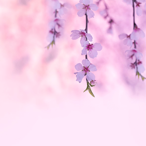 以珠为媒 探寻数感奥秘——二年级数学《用算盘表示数》听评优质课 ‍活动纪实