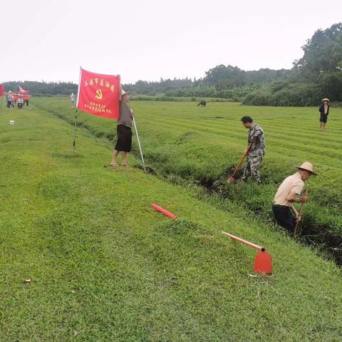 更新村委会开展五月份六水共治活动