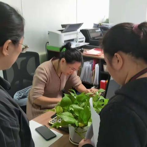 垃圾分类入户宣传工作情况