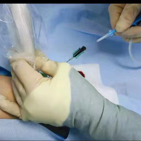 秦州区护理质控中心举办 2025年"针心守护·愈创同行" 静脉治疗与伤口造口专科护理 培训活动