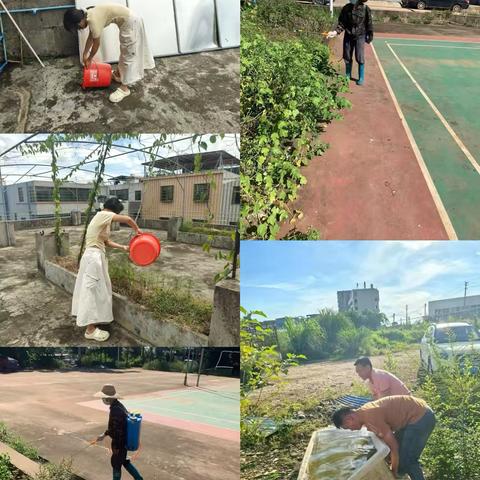 锦丰村委会开展翻盆倒罐清积水 防蚊灭蚊护健康活动