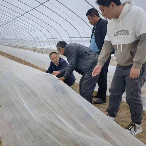 县蔬菜中心全面科学指导设施农业防灾减灾