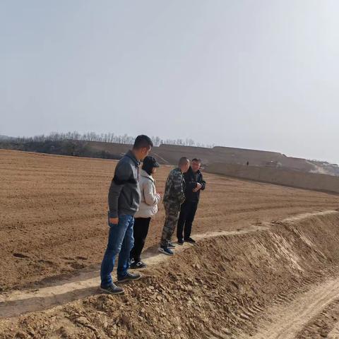 万花山镇老果园改造进行中