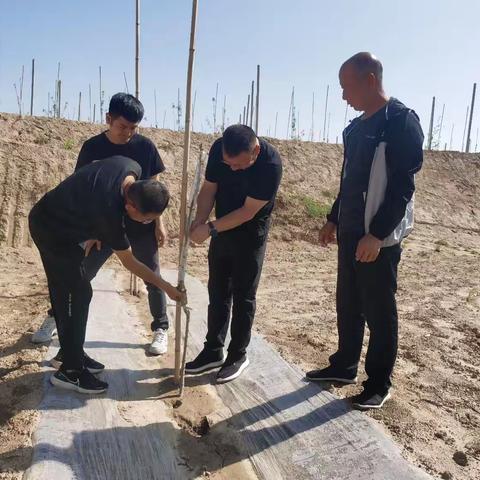 万花山镇艾园则新建园