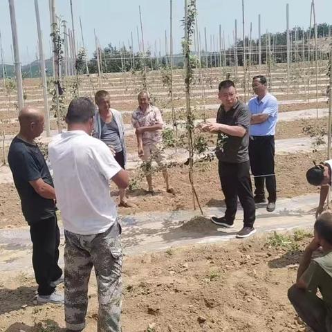 万花山镇艾园则新建园夏季果树管理培训会