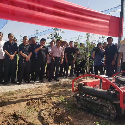 宝塔果业时代步伐，与时俱进，机械化操作。