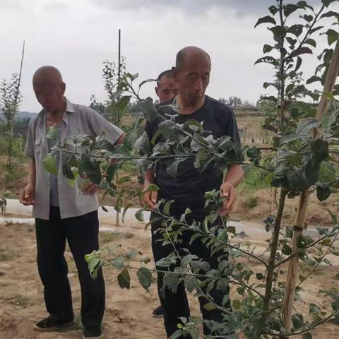 万花山镇艾园则村新建园管理技术指导培训