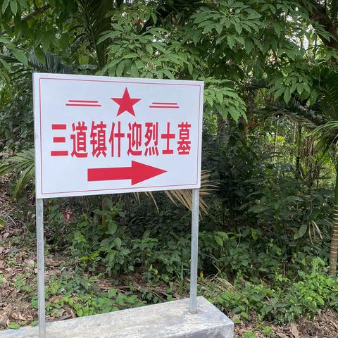 保亭县水务服务中心开展“缅怀英勇先烈 弘扬革命精神”主题党日活动