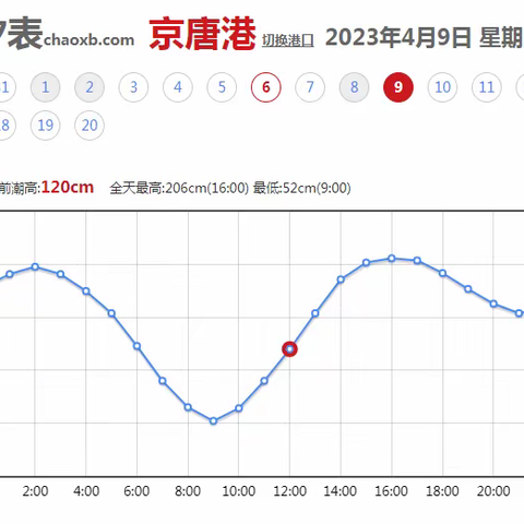 阳光明媚的海边挖蛤之旅