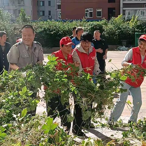 共建美丽家园 喜迎中秋国庆 ——开展城市“三美”环境整治卫生清扫志愿服务活动