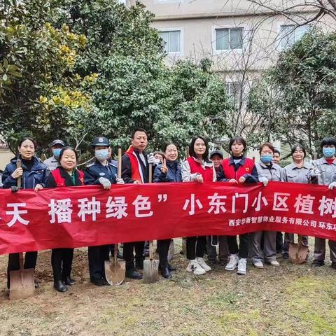 【碑林区长乐坊街道】环东社区退役军人服务站开展“拥抱春天 播种绿色”植树节主题活动