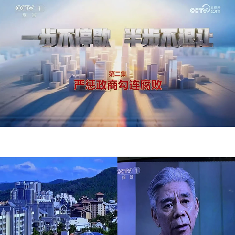 守初心警钟长鸣 践使命一步不停 ‍——汉滨区税务局开展警示教育专题片观看活动