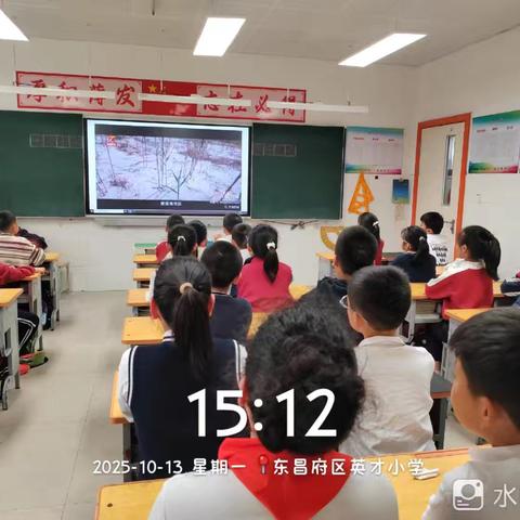 英才小学世界粮食日主题班会