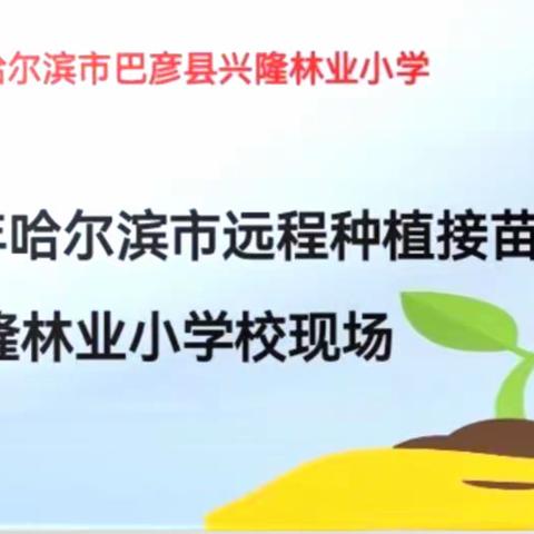 趣味种植，结“浇”朋友--巴彦县兴隆林业小学远程同步种植活动启动仪式