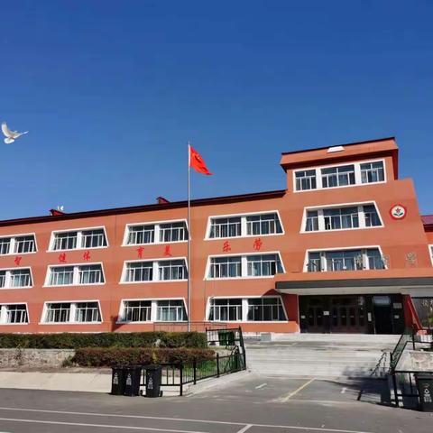 【八一希望学校 德育】“爱护鸟类、人与自然和谐共处” 宣传教育活动