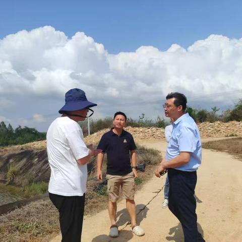 大田镇：共商乡村旅游发展 助力乡村振兴