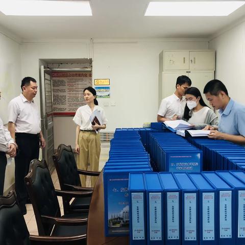 市市域社会治理督导组到龙华区督导市域社会治理现代化试点验收工作