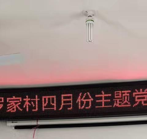 “深入贯彻中央八项规定精神”——罗家村党支部开展4月份主题党日活动