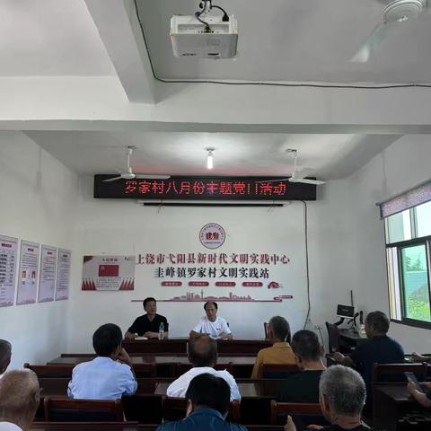 “传承红色基因，奋进可爱中国”——罗家村党支部开展八月份主题党日活动