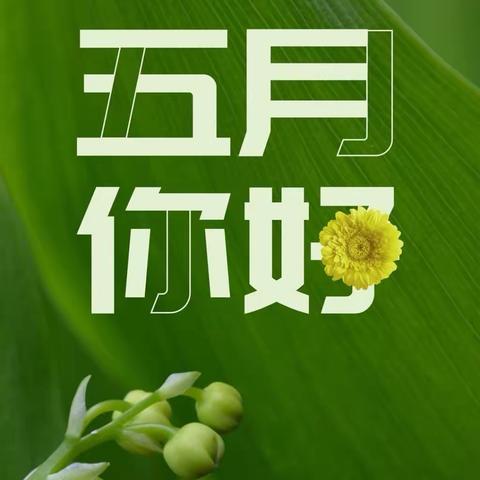 啟福尚都项目2024年5月工作月报