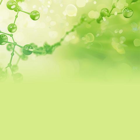 期末复习研训赋能，深耕课堂素养为锚——密云区第五小学（民族小学）开展期末复习专项培训活动