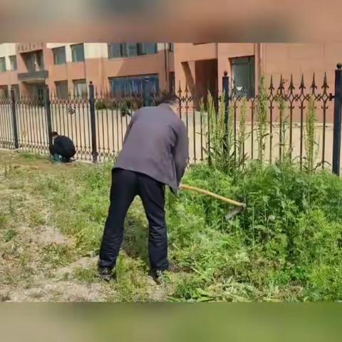 与狼共舞的文章