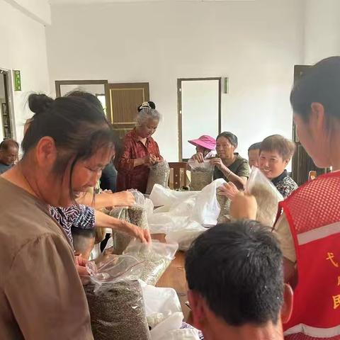 港口镇开展“一缕艾香、暖心助眠”新时代文明实践活动