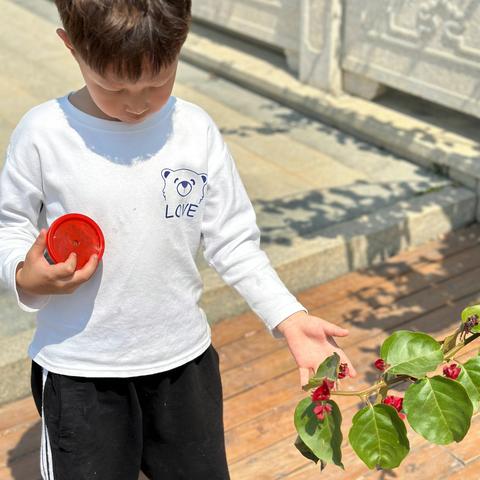 锦程幼儿园——大二班开展《叶子大探秘》主题活动