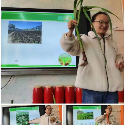 “幼”见种子   茁壮成长--湟源县幼儿园池汉新村分园各行各业认识种子活动