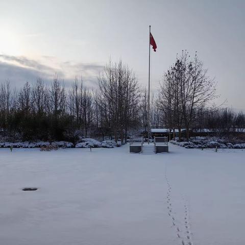 大雪满校园，除雪护平安—黄夹学区金昀小学扫雪活动