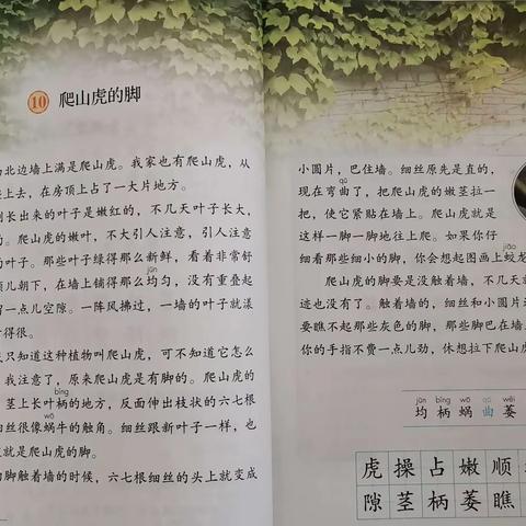 跟随高手学观察，我是观察小达人——四年级语文组观察日记集锦