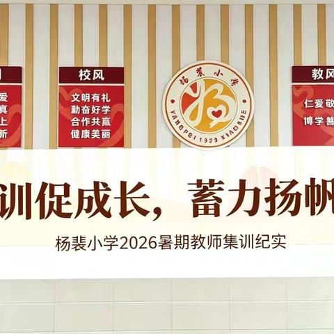 潜心集训促成长，蓄力扬帆启新程——杨裴小学2026暑期教师集训纪实
