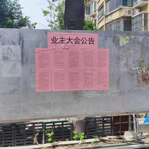 2026年第1次业主大会
