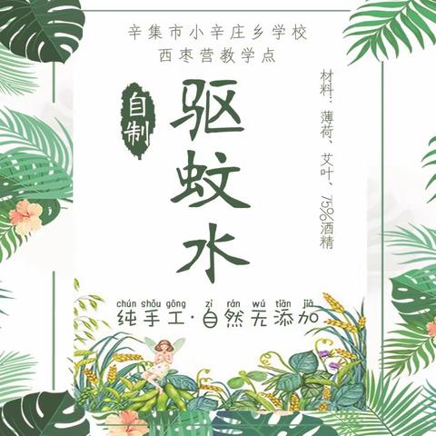 神奇的中草药——“小薄荷 大用途”辛集市小辛庄乡学校西枣营教学点自制驱蚊水