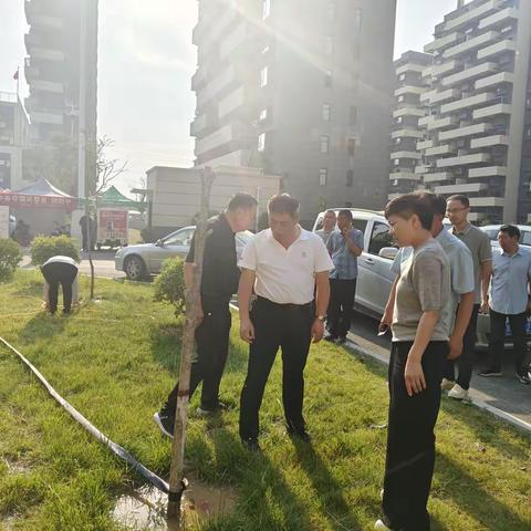 市林业局到华龙区督导新造林浇水和第一代美国白蛾防治工作