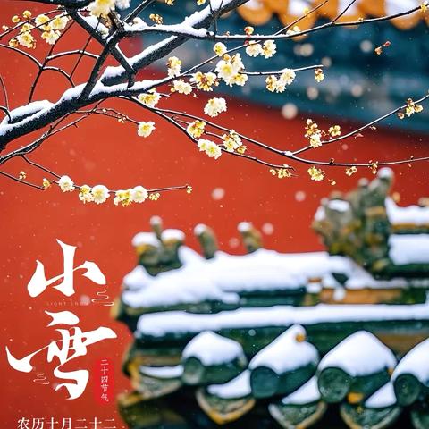 轻盈小雪至 小雪暖寒冬‍ ‍——来安县示范幼儿园二十四节气小雪(大班组)‍