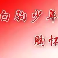 深学细悟全会精神 笃行实干抓好落实——海南白驹学校道德与法治教师学习记录