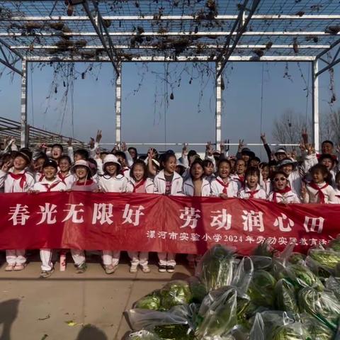 “蔬”香为伴，“勤”满校园 ——漯河市实验小学2024年春季劳动实践教育活动