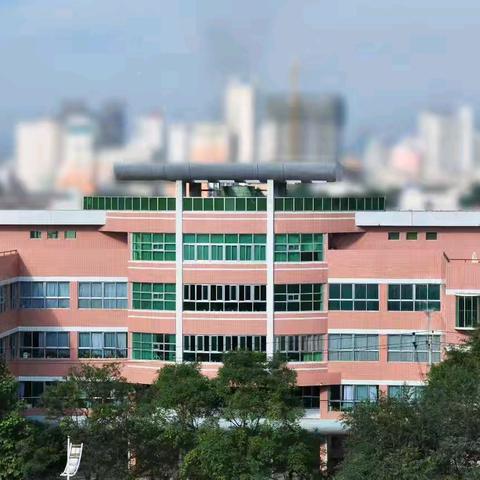 春风化雨润桃李，润物无声育英才——天水市建设路第三小学第八周工作纪实
