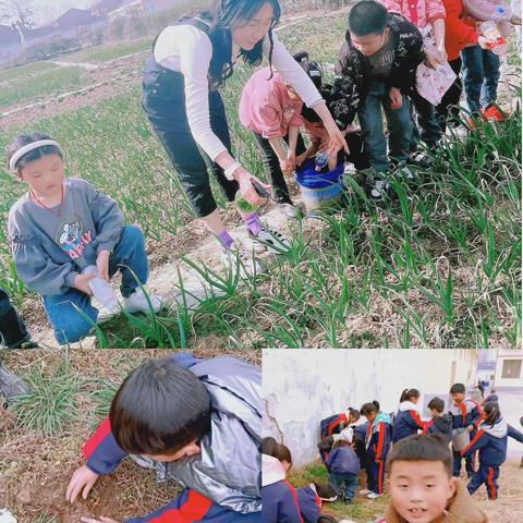 “双减”让艺术扬帆起航，让童年快乐成长——房山山后小学社团活动