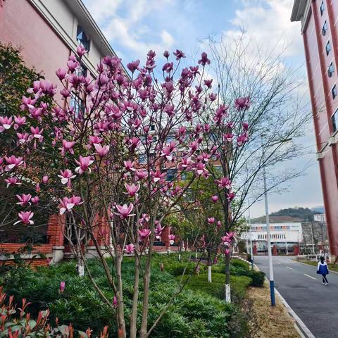 聚焦法治教育，共探课堂新思路