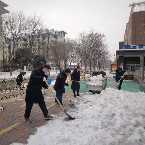 老师齐上阵，铲雪除冰暖校园——-安居实验小学全力以赴保师生安全出行