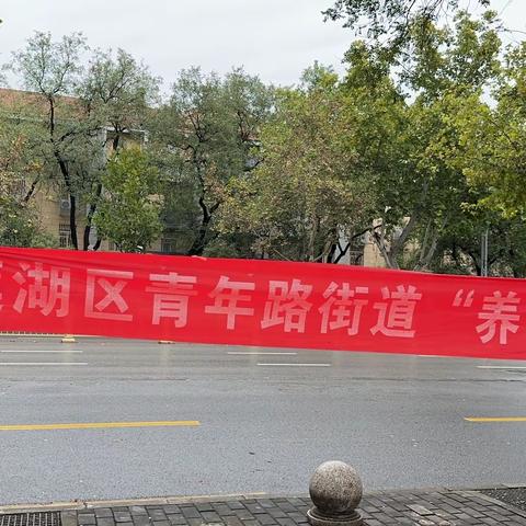 “敬老从心开始，助老从我做起”——莲四社区开展“养老早市”活动
